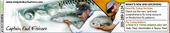 Strip strike charters